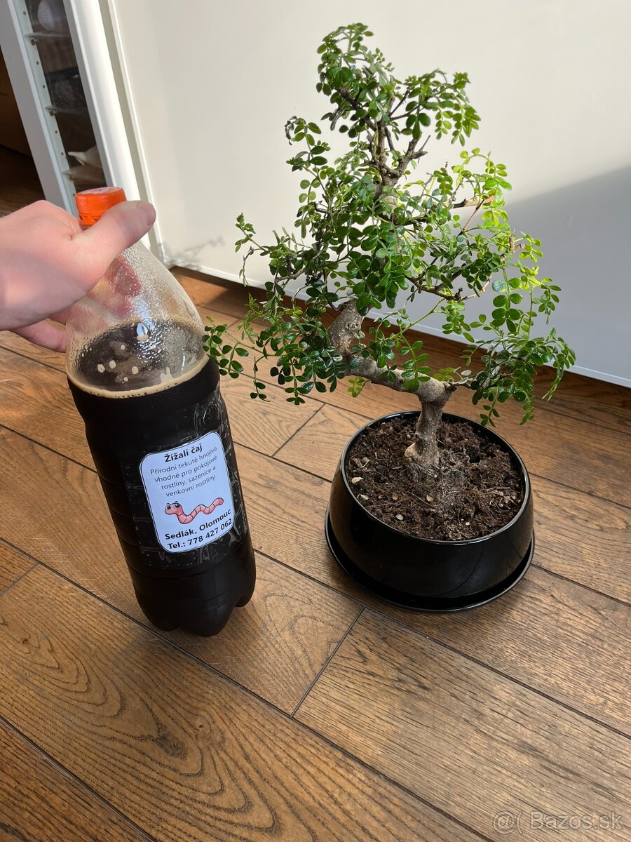 Dážďovkový čaj - 1L - 6