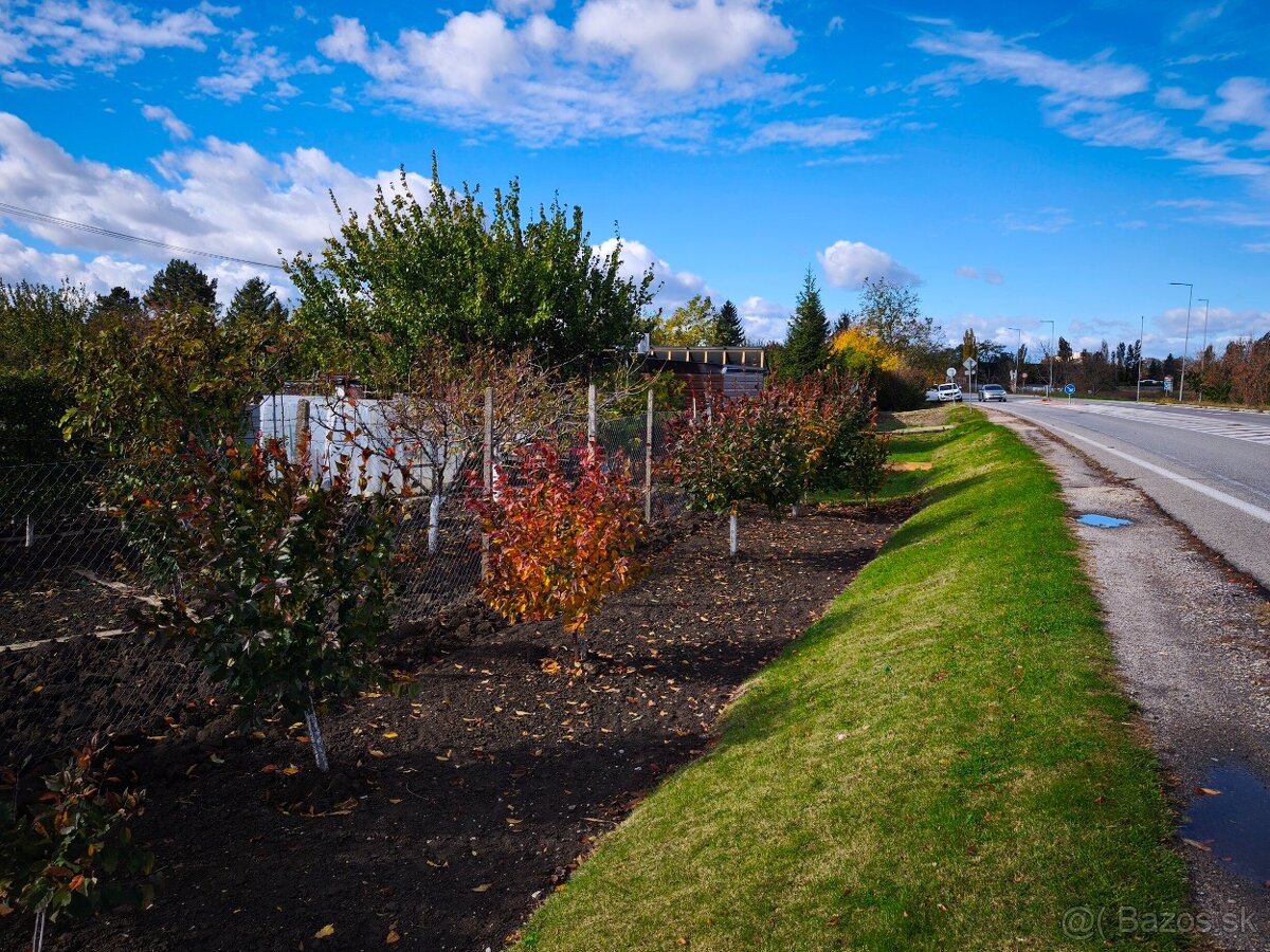Udržiavaná záhrada so studňou a chatkou - 6