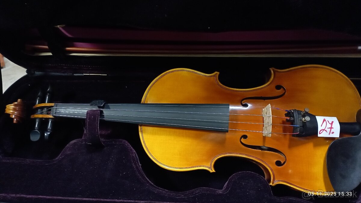 PROFESIONALNE HUSLE - 6