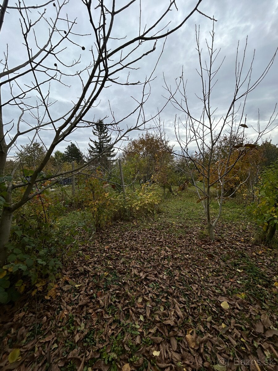 Záhrada vo Svätom Jure - 6