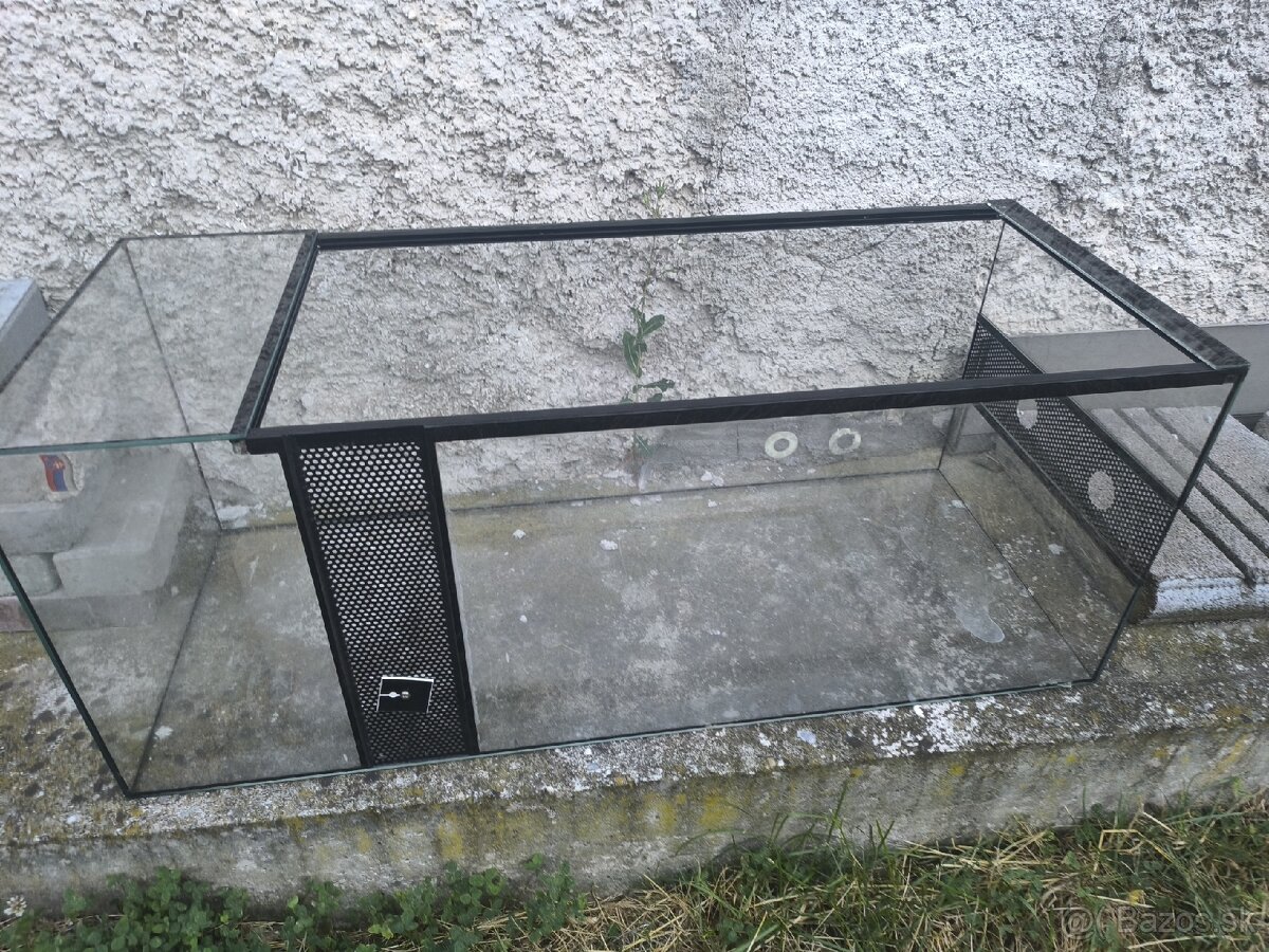 Terarium - 6