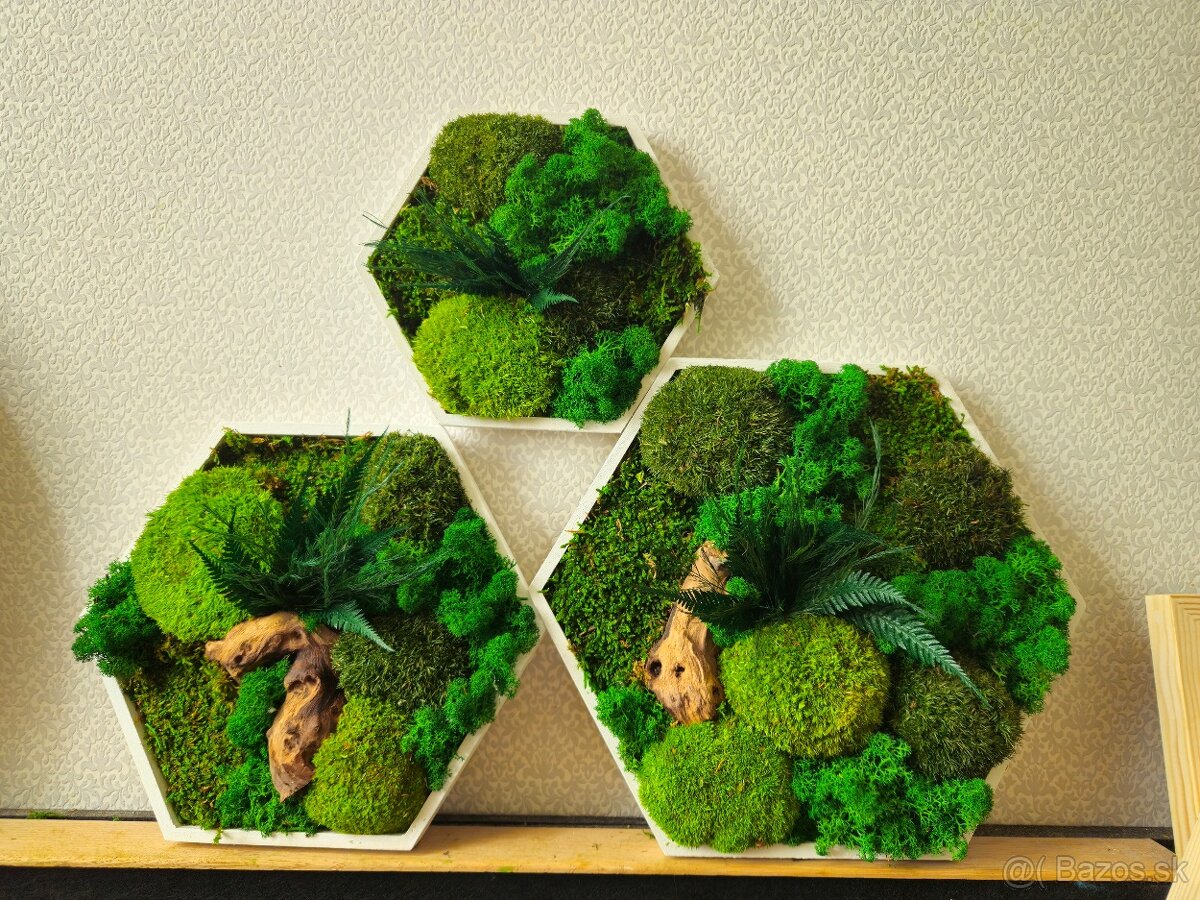 Machový obraz hexagón na mieru - 6