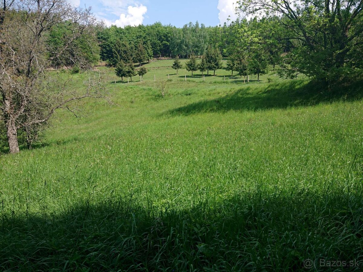 Hriňová, Uhlisko – stavebný pozemok v peknej prírode, 9941m2 - 6
