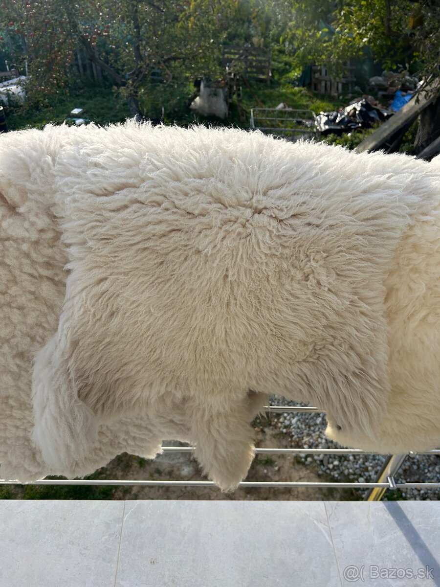 Pravé kožušiny z domácich oviec/barana - 6
