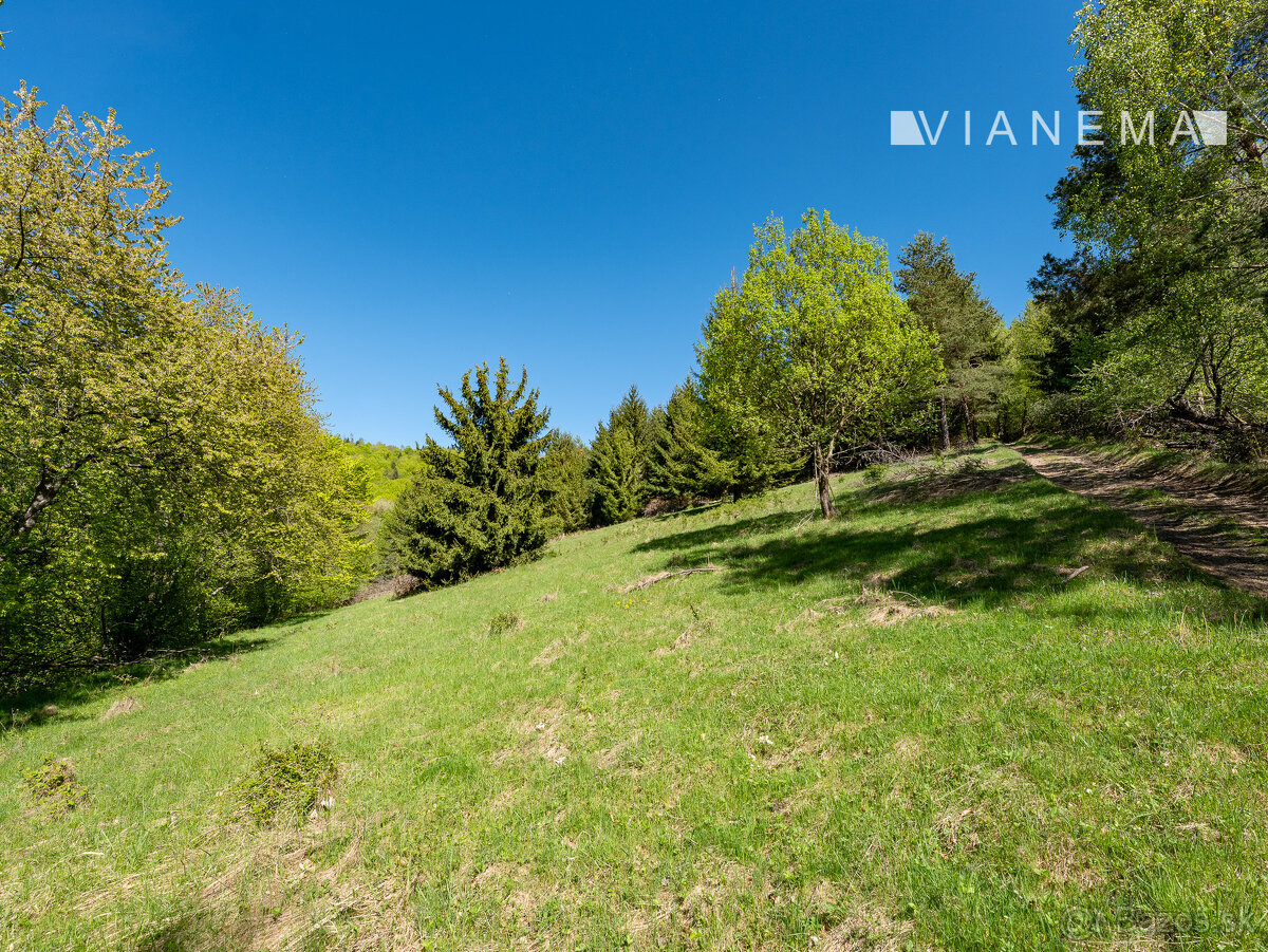 IBA U NÁS Pozemok na samote v lese - Lazy pod Makytou - 6