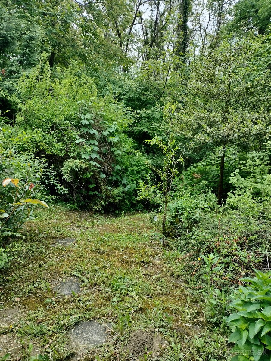 Na predaj záhrada Šípková Vyšné Opátske, znížená cena - 6