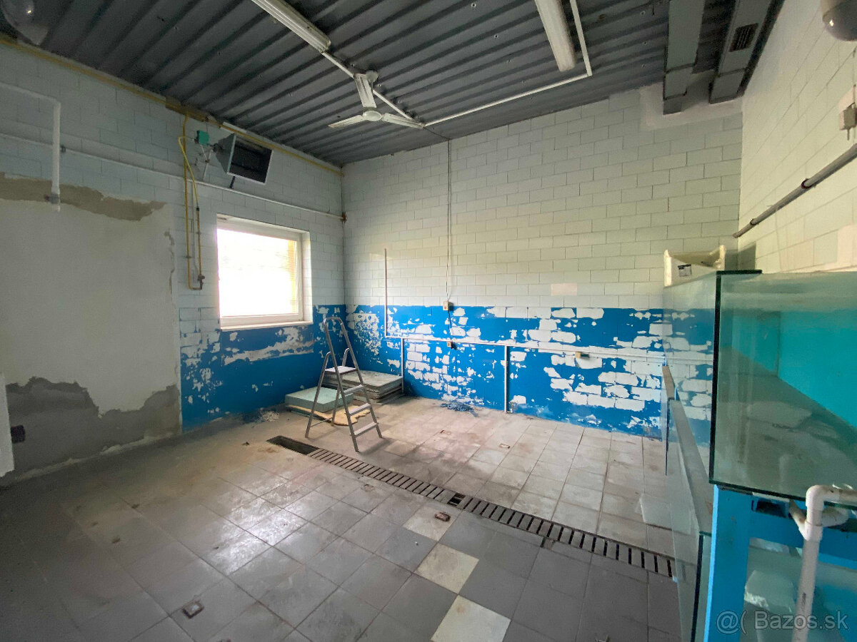 Prenájom skladových/výrobných priestorov pri Michalovciach - 6