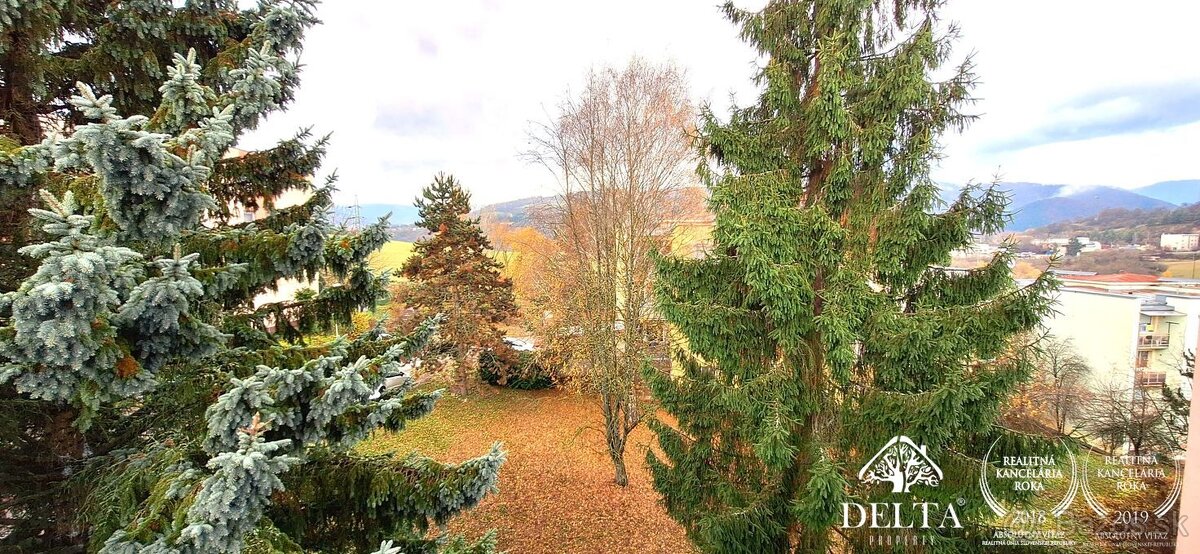 Delta-1 izb. s loggiou byt Banská Bystrica prenájom - 6