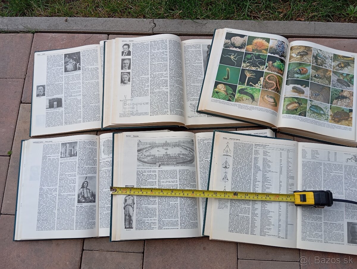 Malá Česko Slovenská encyklopédia - 6