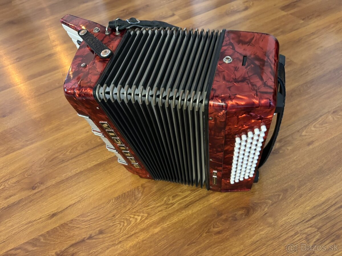 Akordeon DELICIA 60 bas - 6