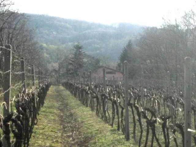 Investičný pozemok Krasňany BA III. - 6