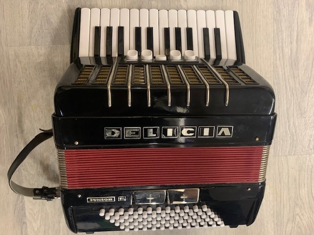 Akordeón Delicia - 6