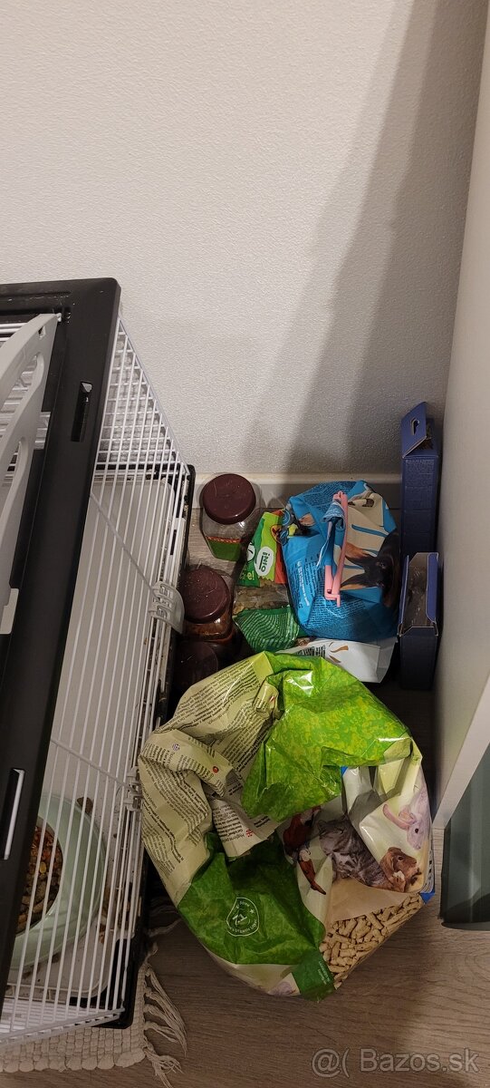 Králik Teddy - predaj - 6