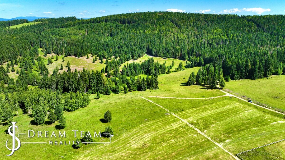 Stavebný pozemok 2.2ha v krásnom prostredí Látky okr. Detva - 6