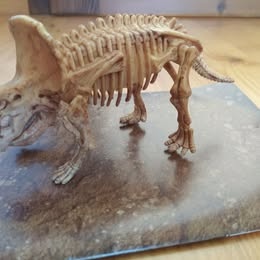 Hra Paleontologické múzeum - 6