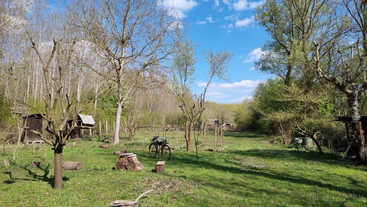 Prenájom pozemok Gabcikovo - 6