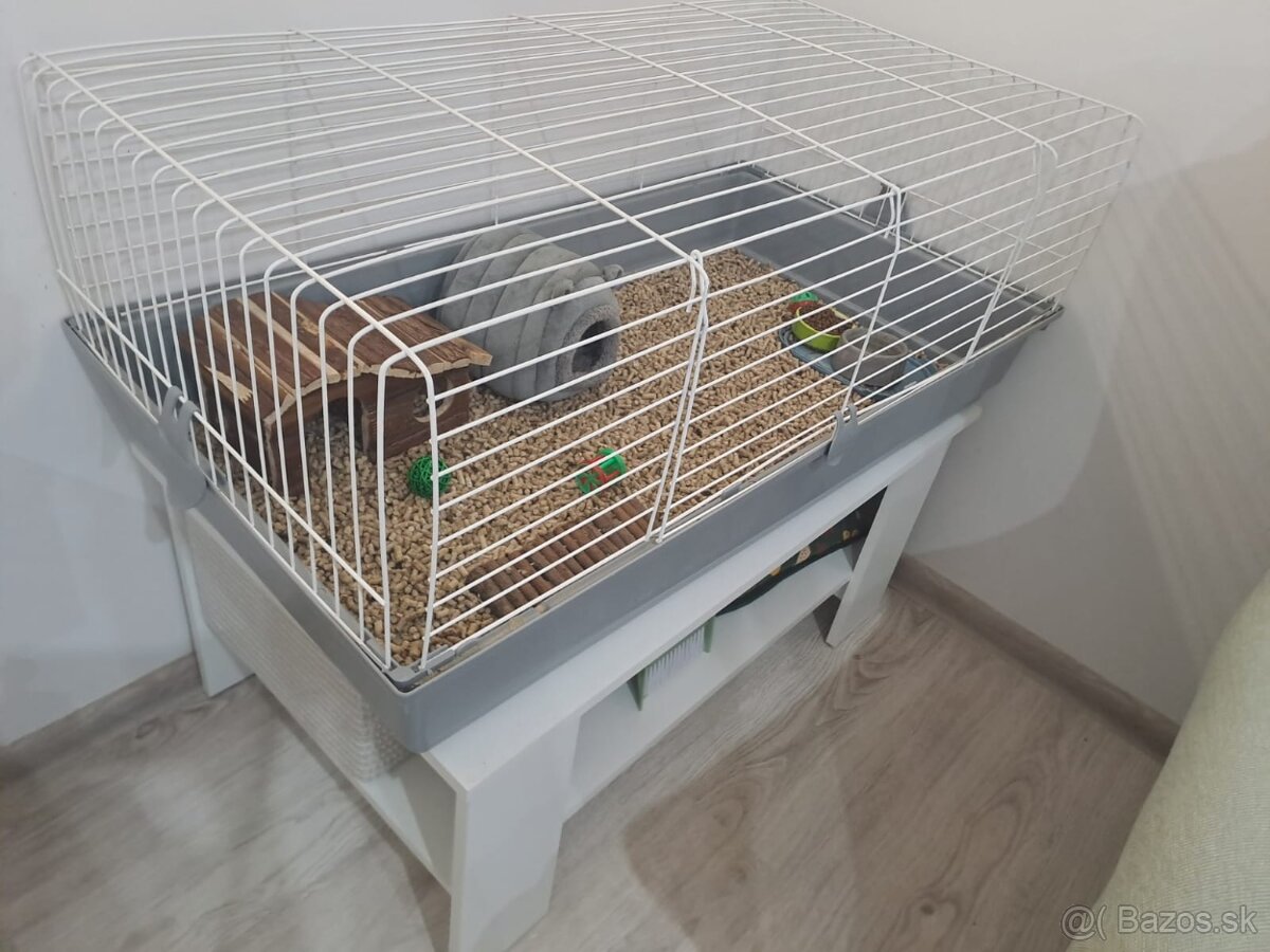 Ježko bielobruchý s vybavením - 6