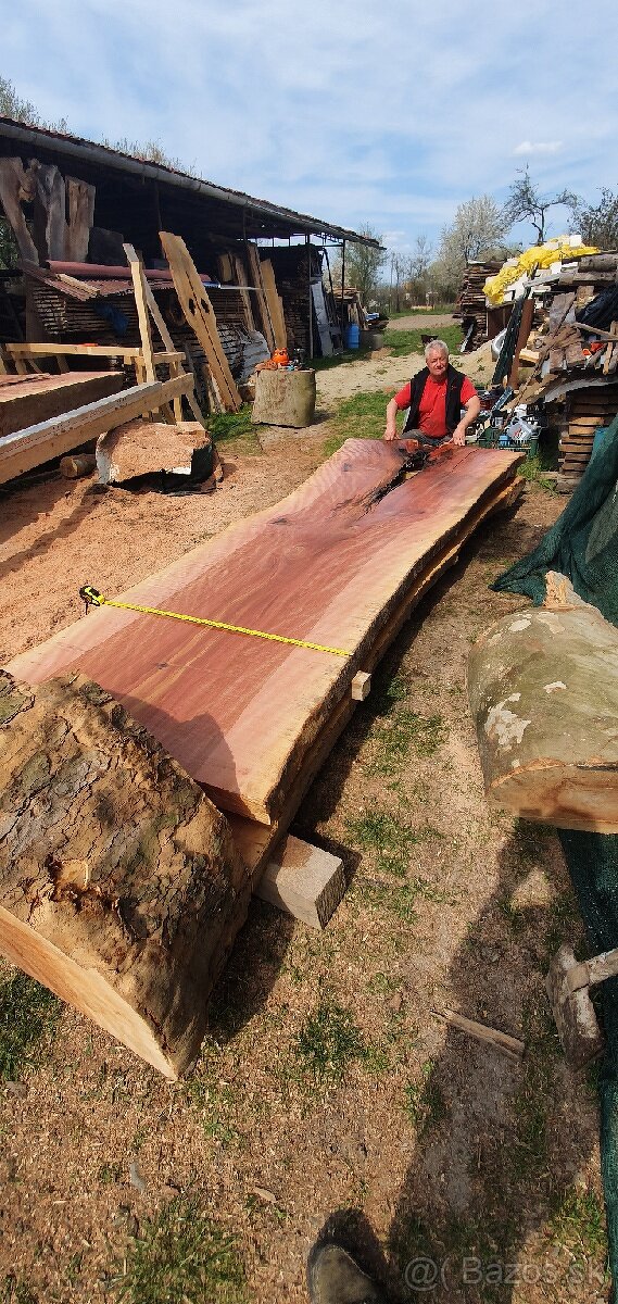 Platanove drevo. - 6