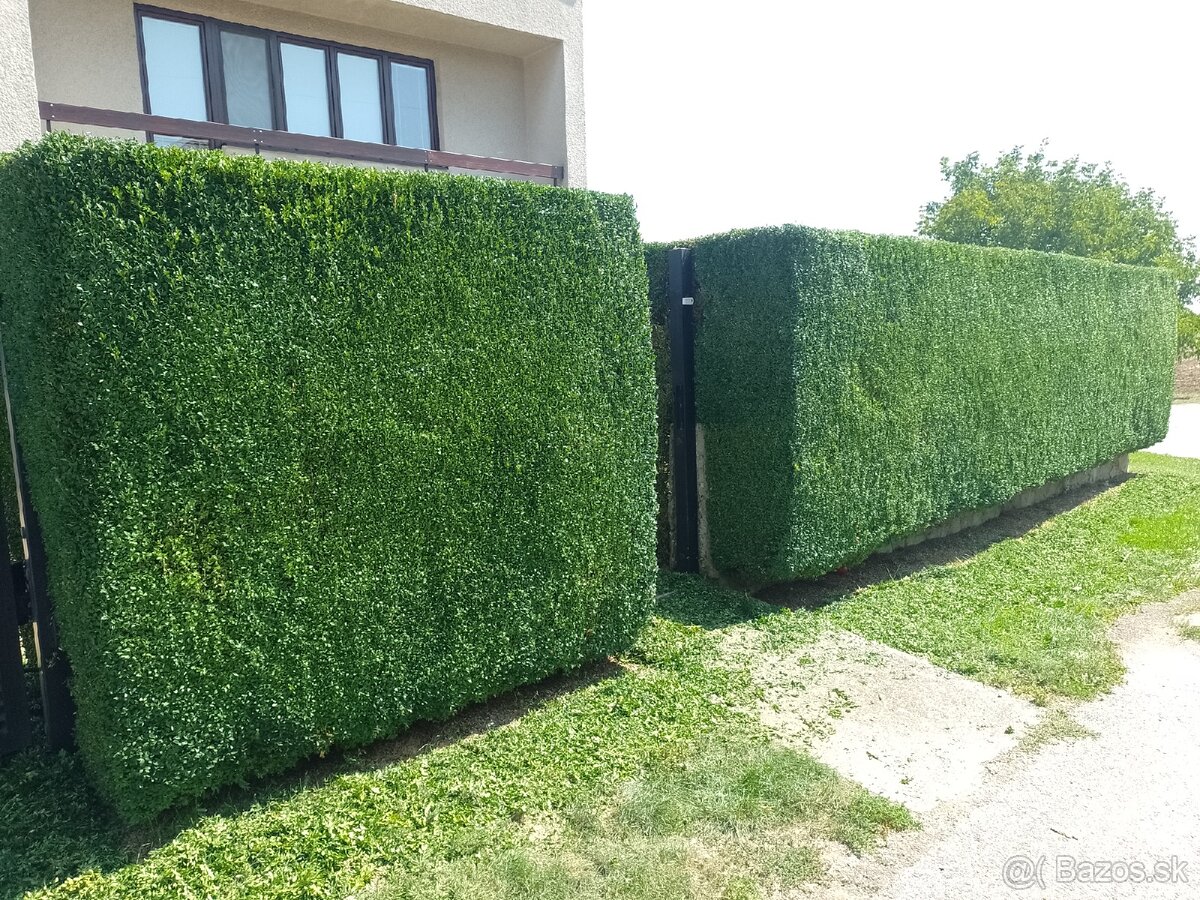 Zakladač trávnika - 6