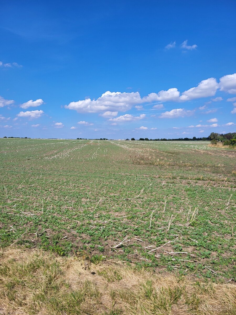 Pozemok v Prahe. Dobrá investícia - 6