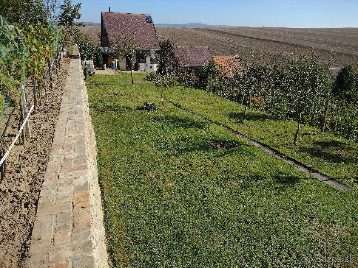 PREDÁM ZÁHRADKU S CHATOU V HOLÍČI. - 6