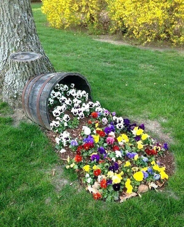 DUBOVÉ KVĚTINÁČE Z ORGINALNÍCH SUDŮ - 6