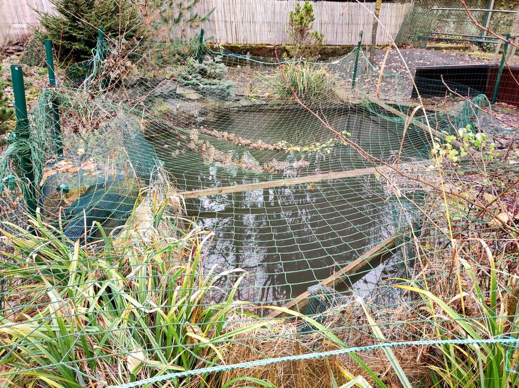 Murovaná chata v rekreačnej oblasti , Moravany nad Váhom - V - 6