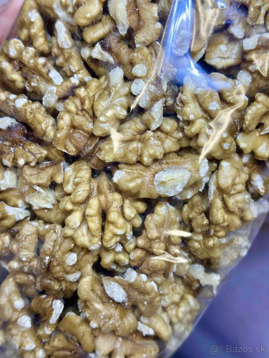 Orechy vlašské tohtoročné - 6