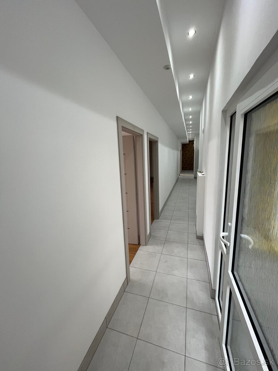 Obchodné a kancelárske priestory v Beluši - 6