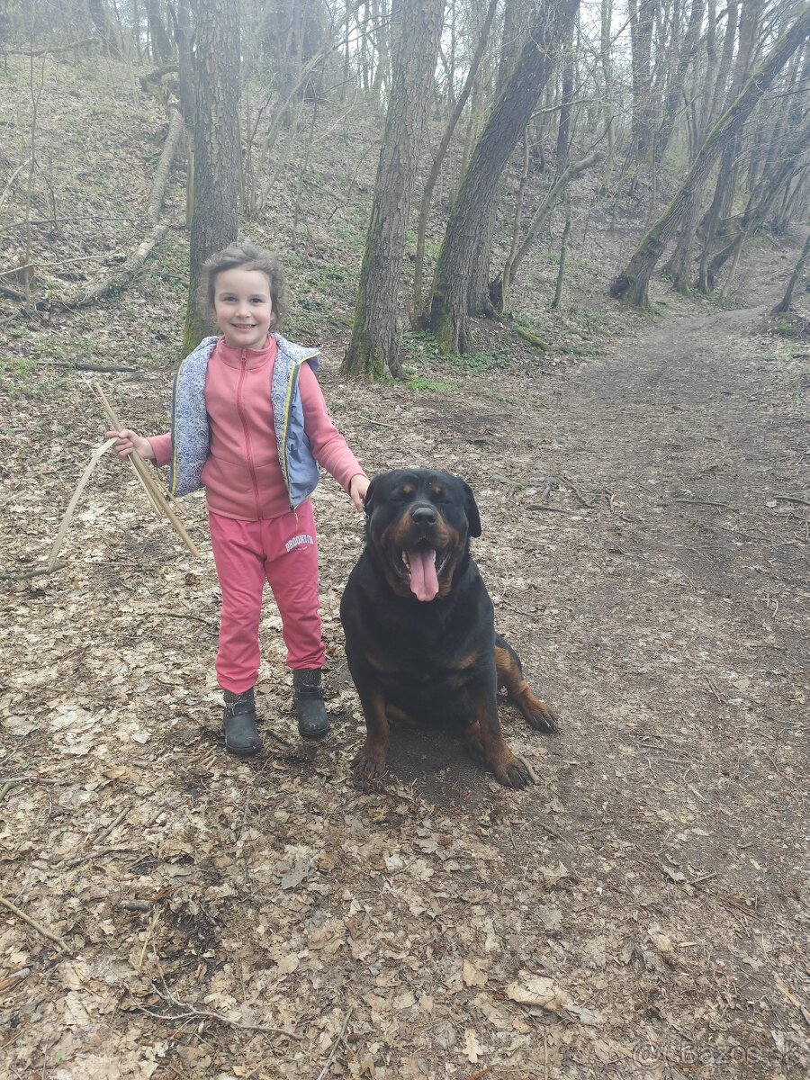 Rotvajler na krytie - 6