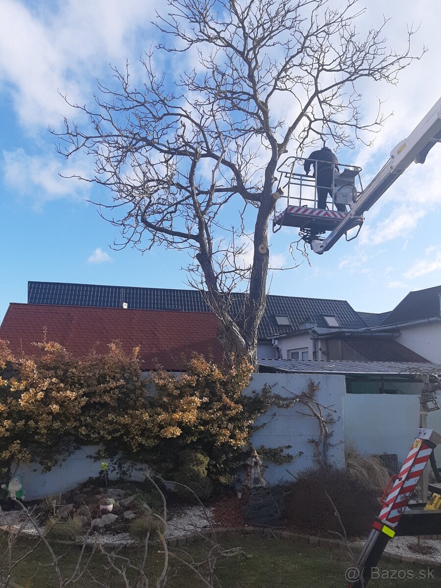 Prenájom plošiny - 6