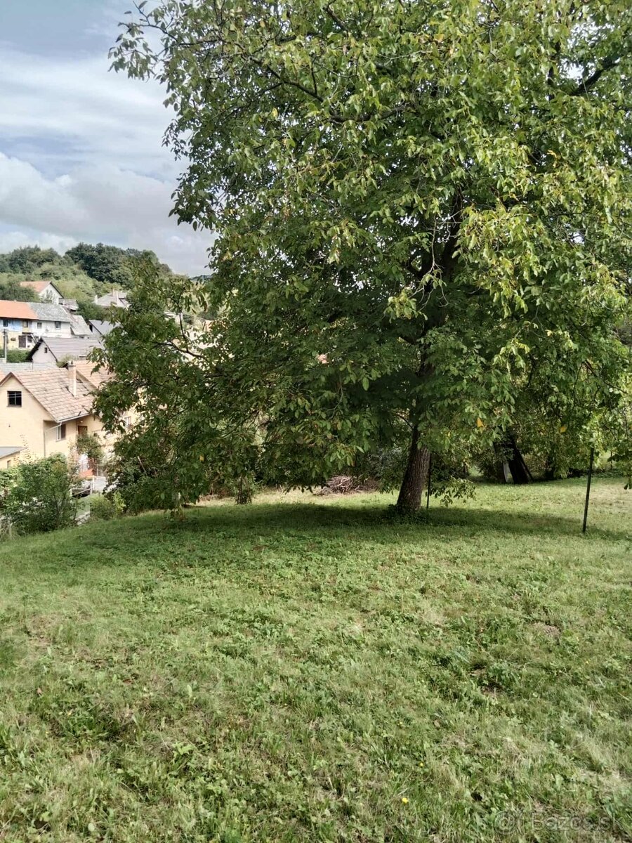 Petrova lehota / zahrada pozemok - 6