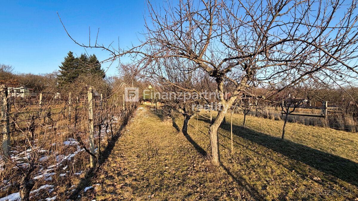 Vinohrady, ticho, výhľady - chata Podhorany, Nitra - 6