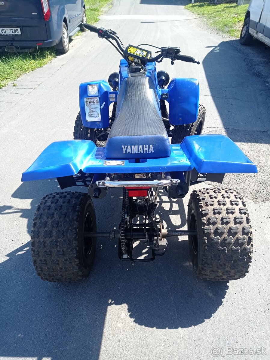 Yamaha Banshee 350 - 6