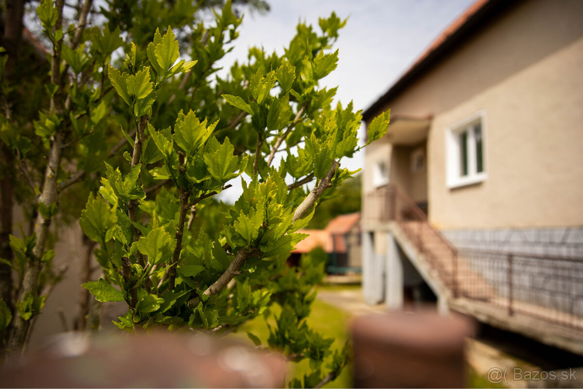 REZERVOVANÉ: Na predaj rodinný dom v Dolnej Súči - 6