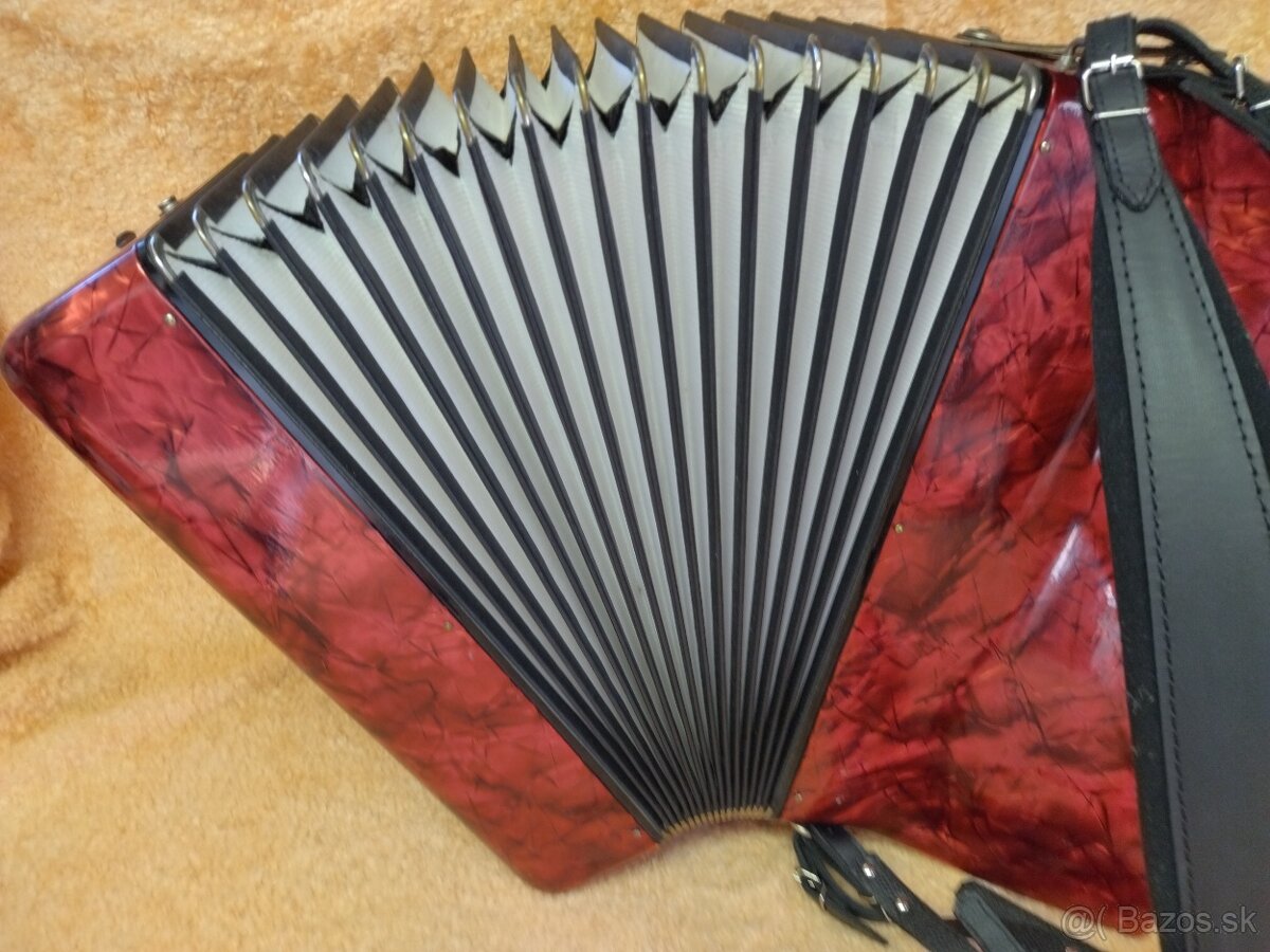 Harmonika akordeon Delicia Carmen III - 96 bas. - 6