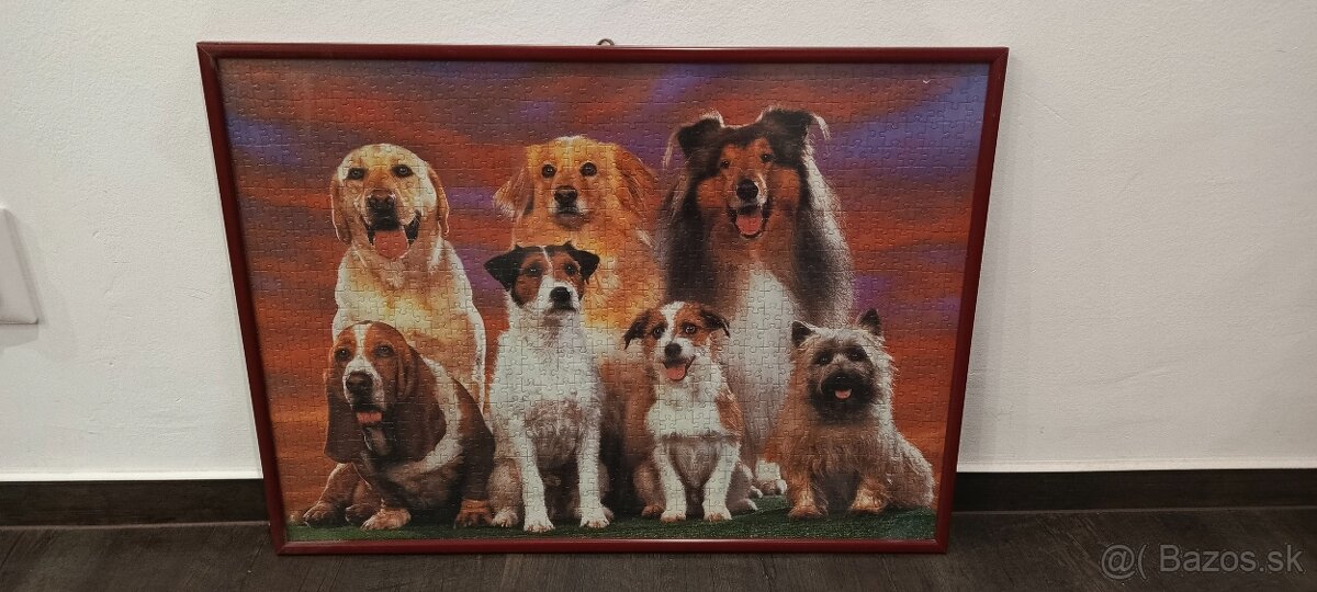 Puzzle obrazy zaramovane - 6