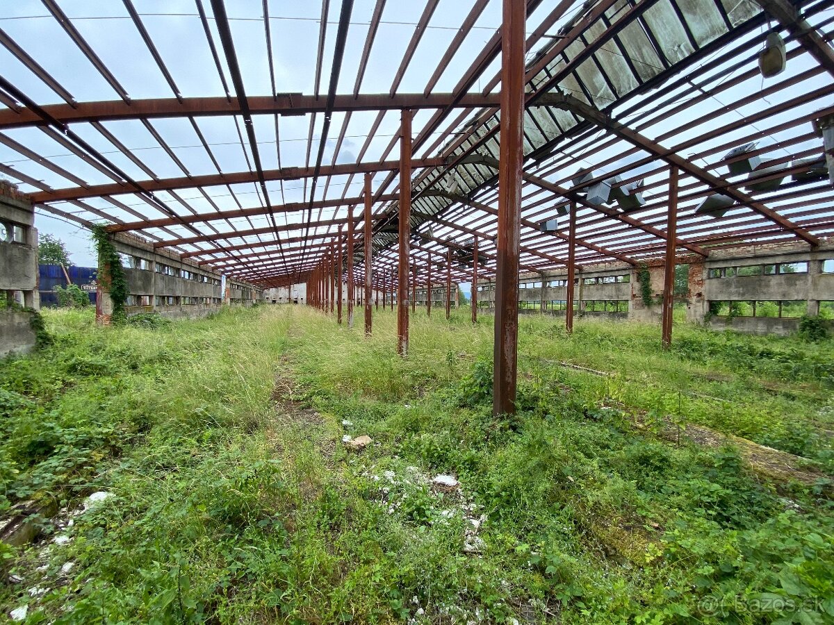 Hala s oceľovou konštrukciou 2878m2 , Rešica, sklad - výroba - 6