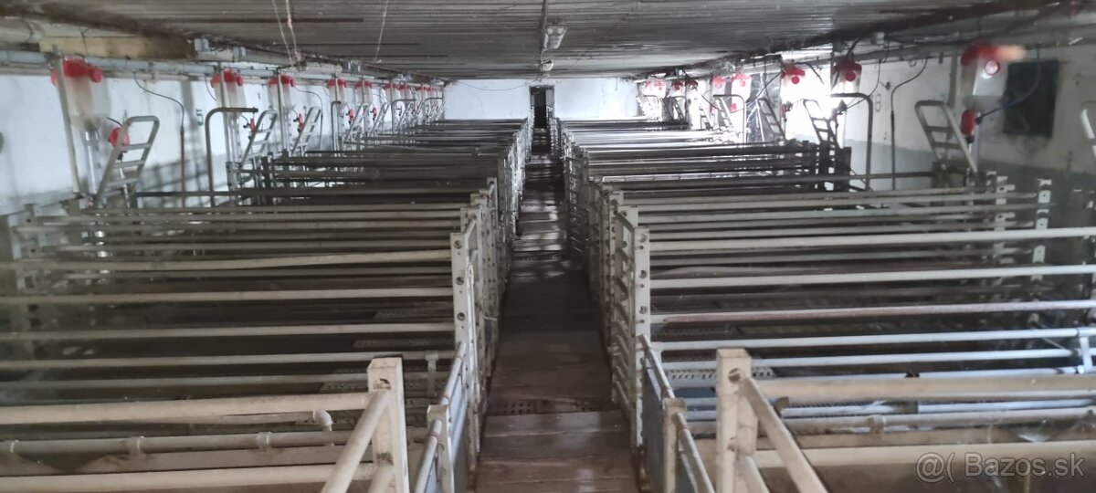 Priestor pre VAŠU firmu, výrobu, dieľňu - 6