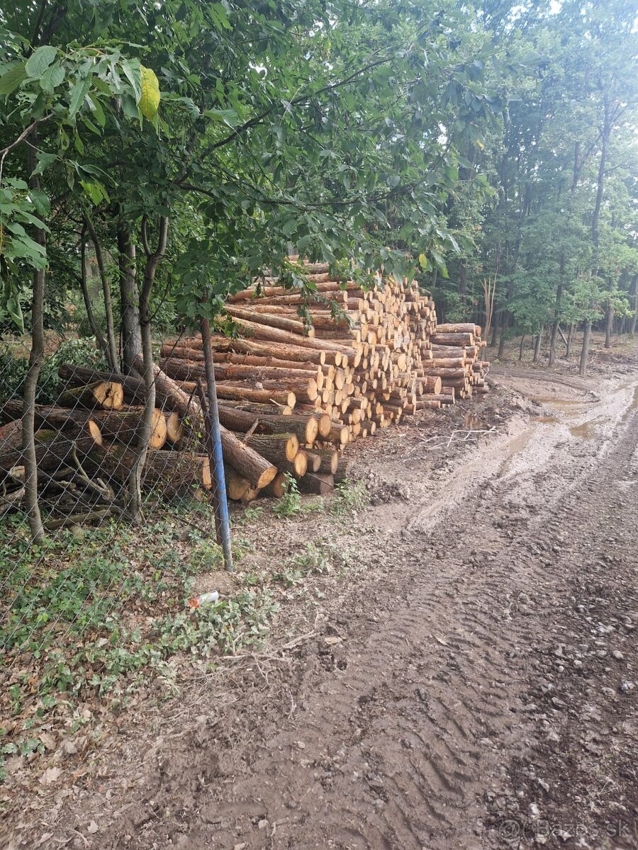 Dubové drevo_Vykurovanie_Predaj_Doprava_19112025 - 6