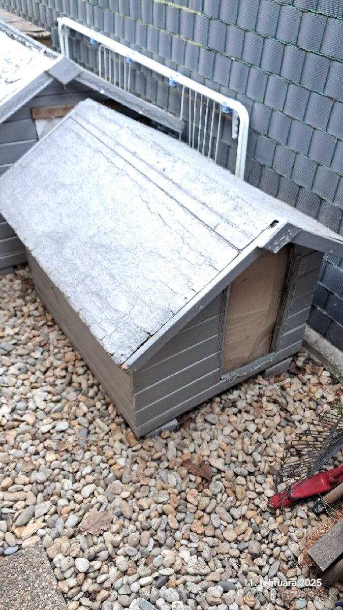 Psia búda - psie búdy - 6