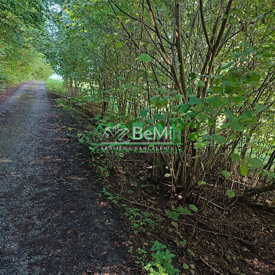 Rekreačný pozemok v Tajove na predaj ID: 015-14-STKa - 6