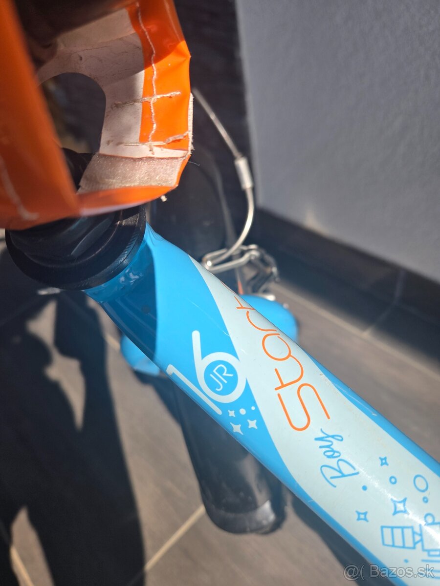 Kellys Alpina Starter 2025 - 6