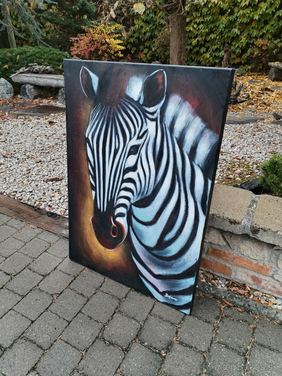 Obraz zebra - 6