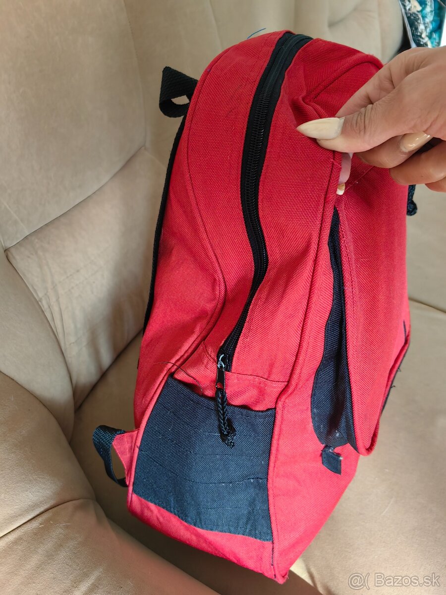 Batoh a cestovný kufor Florence D - 6