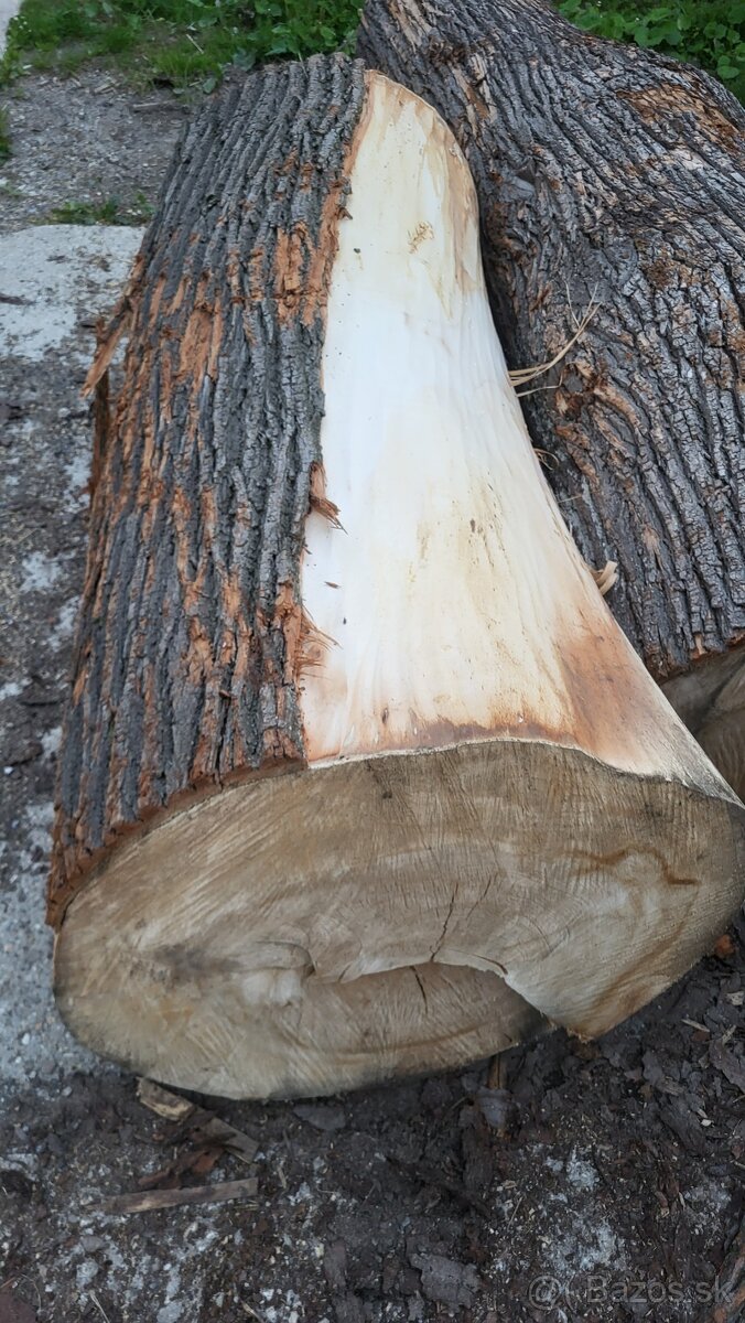 Lipove drevo kmene - 6