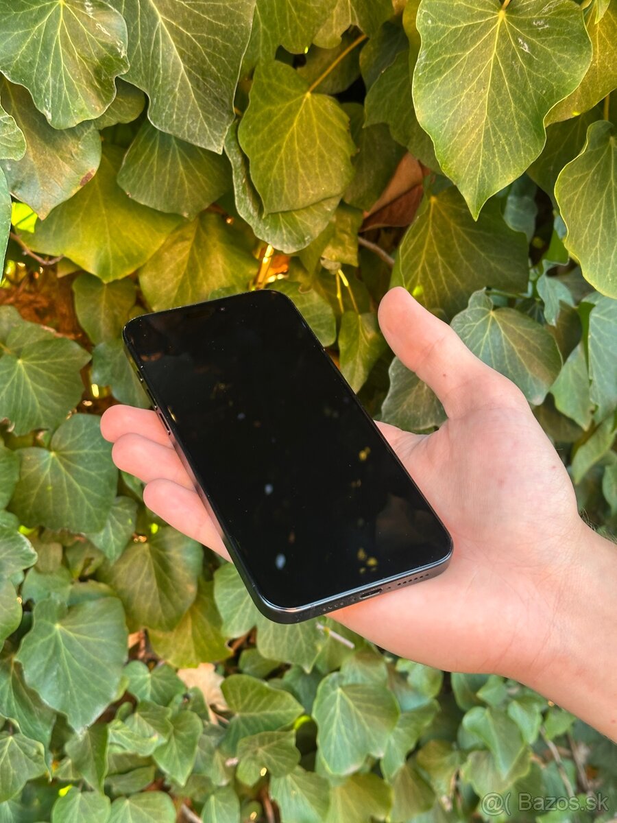iPhone 15 Pro Max 256Gb - 100% batéria - 6