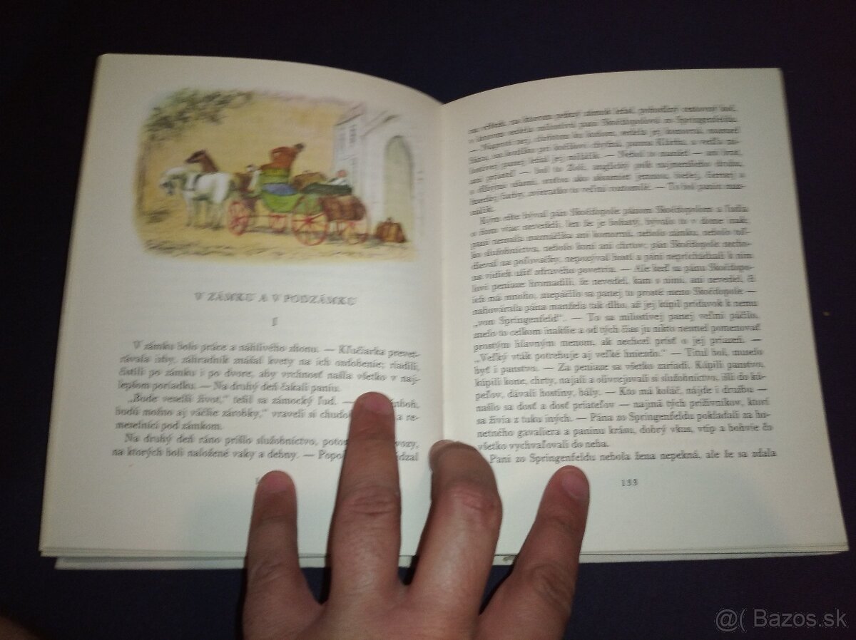 Božena Nemšová Chyža pod horami - 6