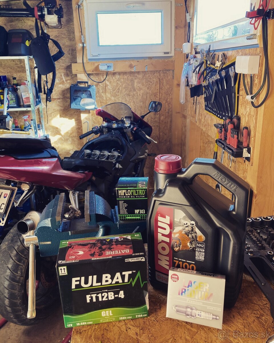 Motoservis, oprava motoriek - 6