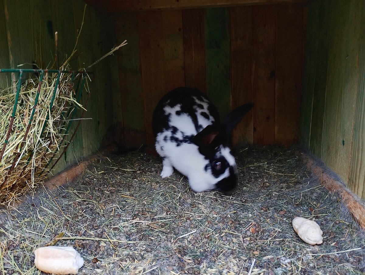 Predám komplet Kralikaren - 6